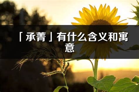 菁意思名字|菁字的含义和寓意